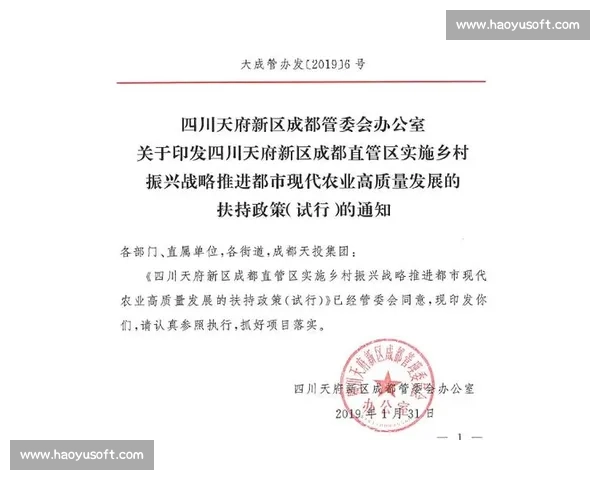 围绕规范运作提升治理效能推动高质量发展的实施路径研究探索分析